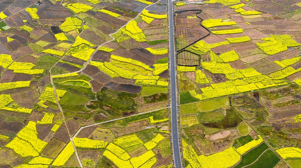宣城市绩溪县伏岭镇伏上村油菜花VR全景